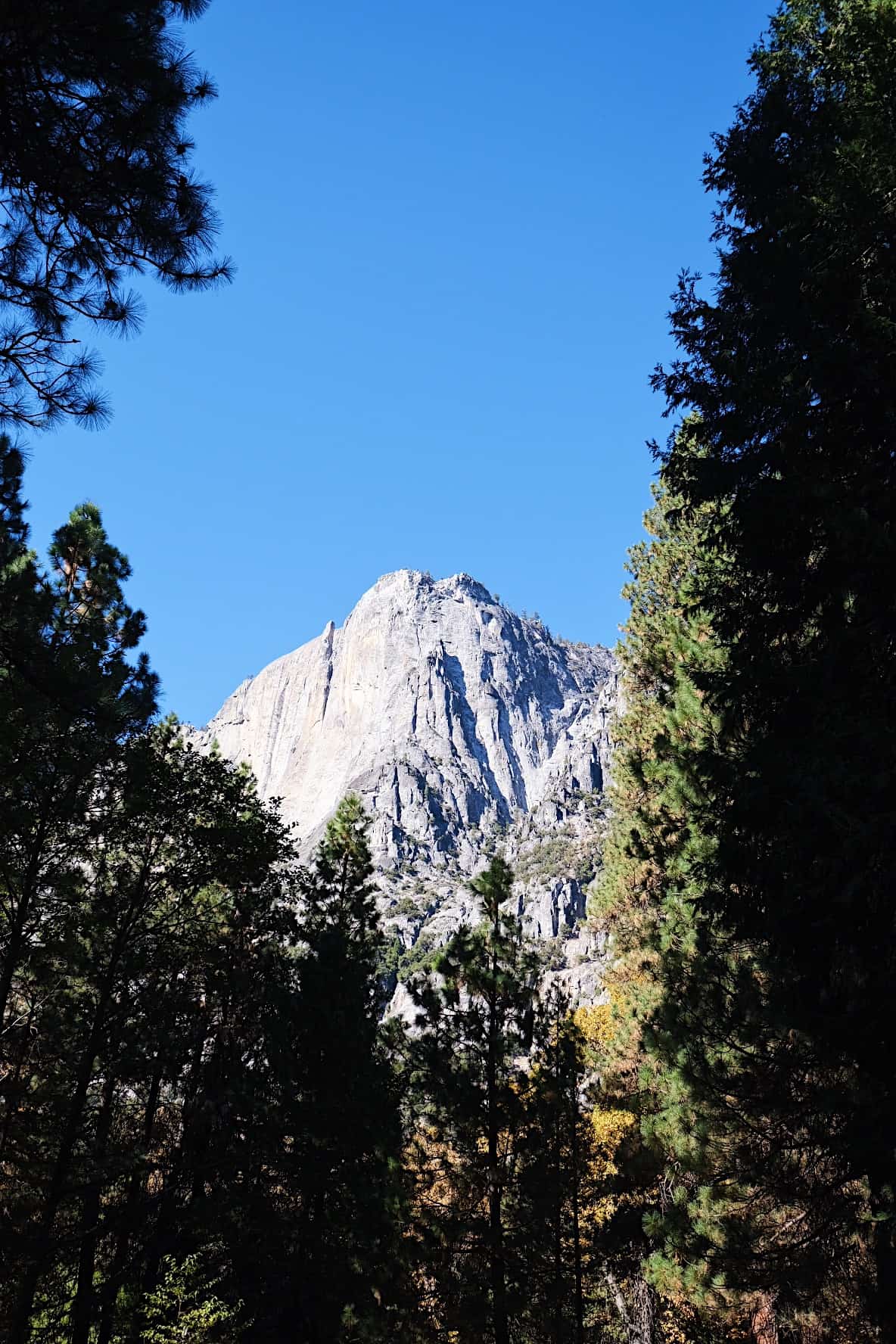 Yosemite 2019